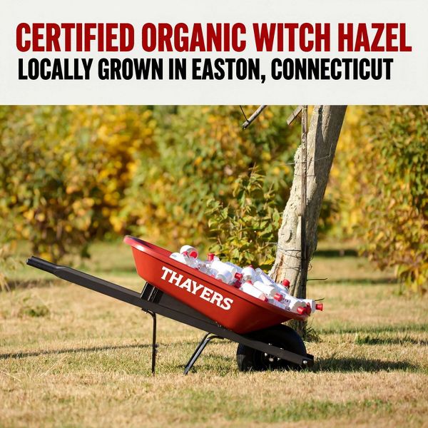Thayers Natural Remedies Witch Hazel Alcohol Free Toner with Rose Petal - 12 fl oz